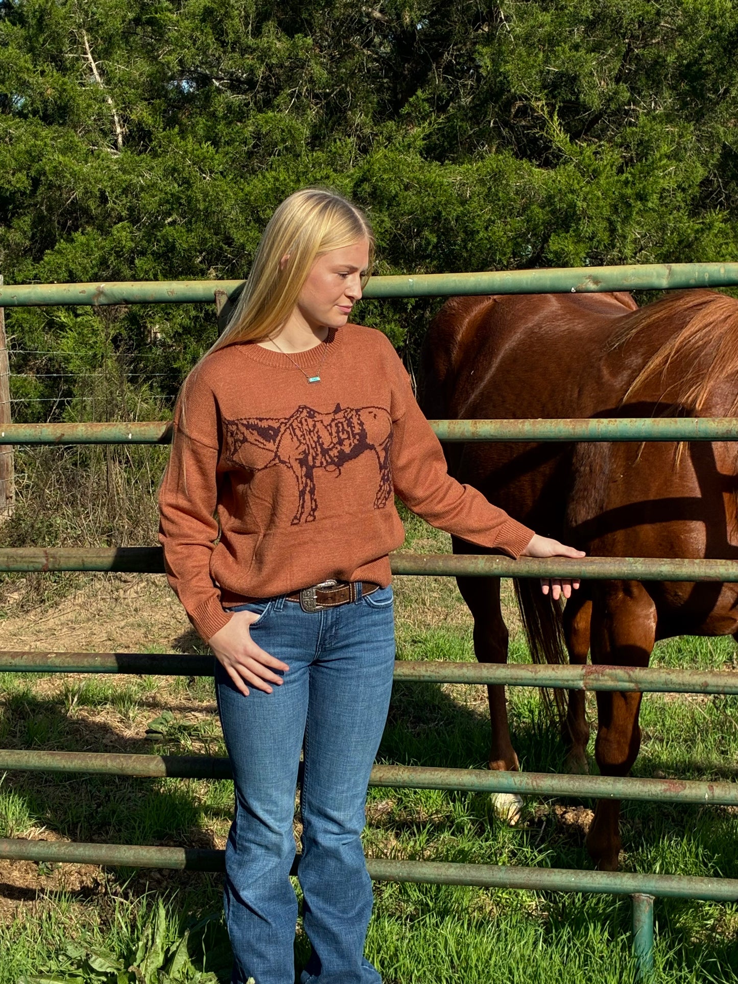 Cowpony Sweater